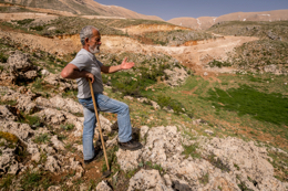 Al-Arz;Iris;Iris-Cedreti;Kaleidos;Kaleidos-images;Lebanon;Middle-East;Near-East;Tarek-Charara;Youssef-Tawk;Flowers;Endemic;Endemic-species;Critically-endangered;Critically-endangered-species